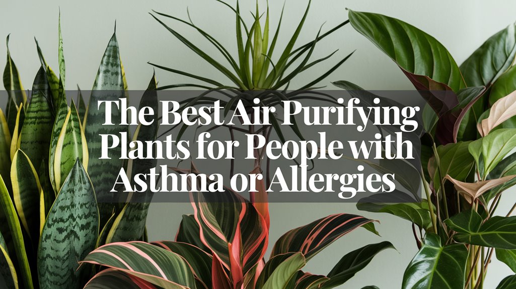 air purifying plants benefits