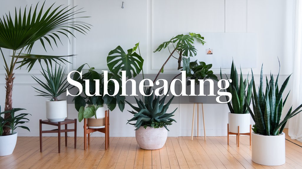 air purifying plants for vocs