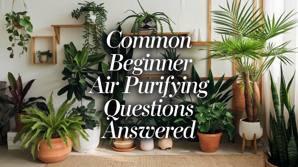 beginner air purifying plants