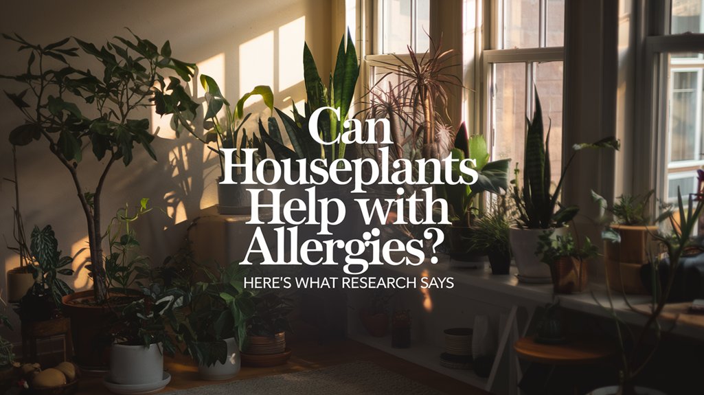houseplants may reduce allergies